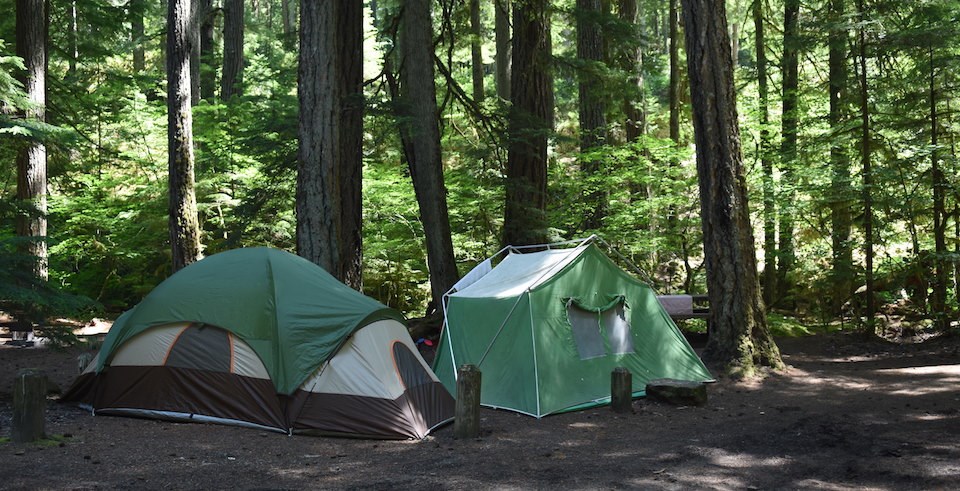 A site at Ohanapecosh Campground, Mount Rainier National Park / NPS - C. Meleedy A site at Ohanapecosh Campground, Mount Rainier National Park / NPS - C. Meleedy