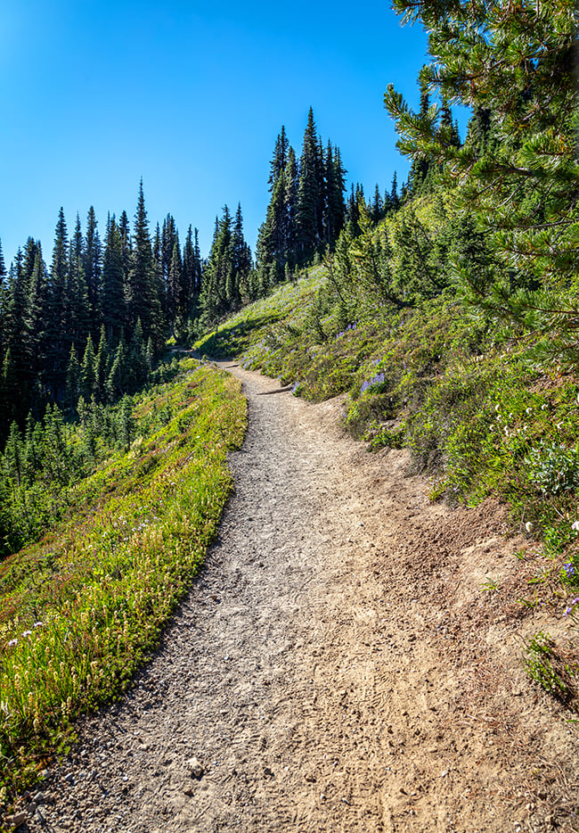 The Trail Toward Glacier Overlook, Mount Rainier National Park / Rebecca Latson
