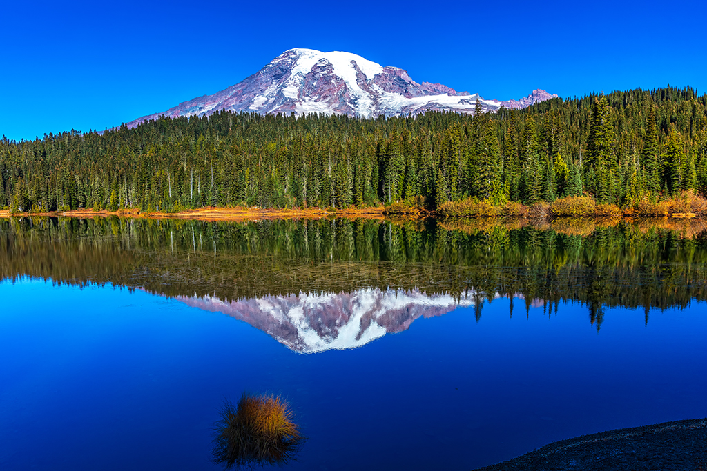 Reflection Lake reflections, Mount Rainier National Park / Rebecca Latson