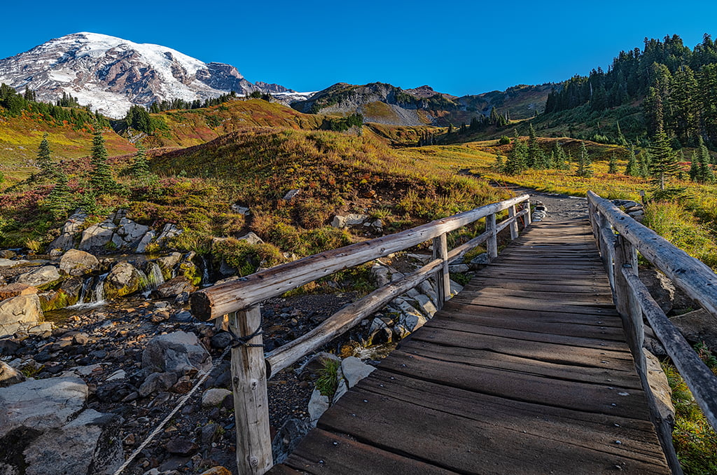 Ready to wander, Mount Rainier National Park / Rebecca Latson
