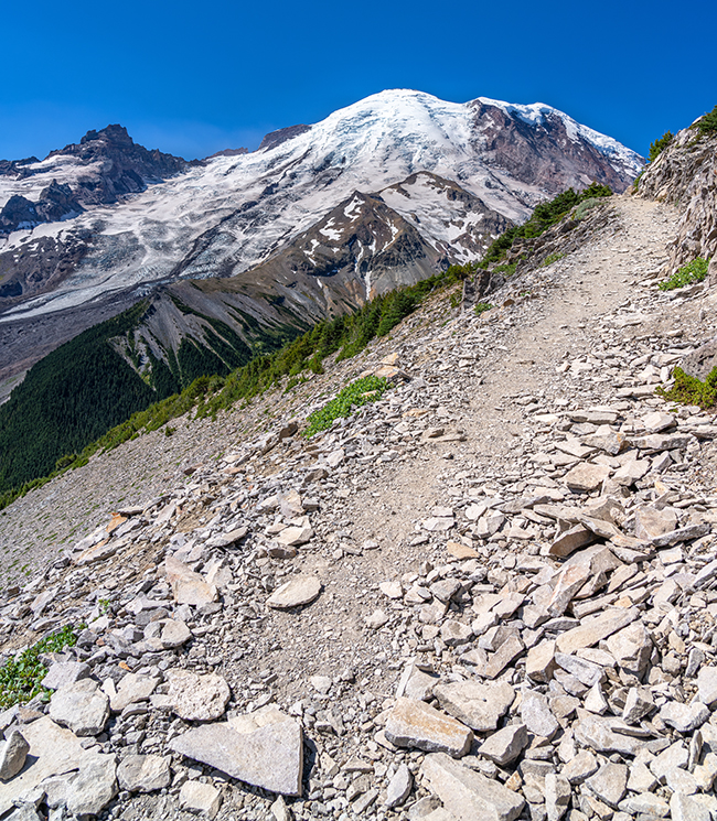 The leading line of Sunrise Rim Trail, Mount Rainier National Park / Rebecca Latson