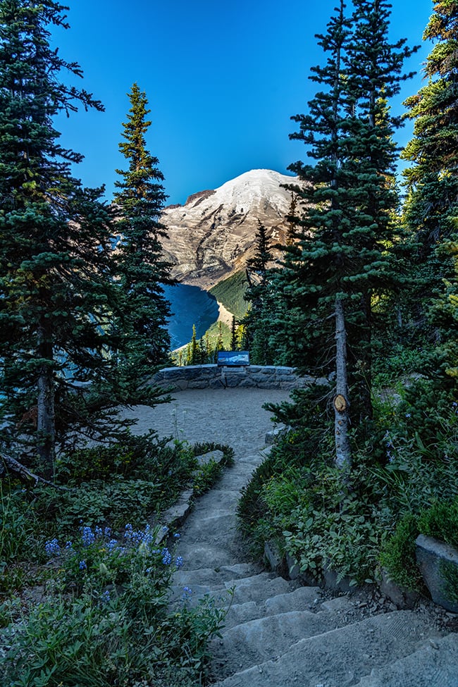 Emmons Vista Overlook, Mount Rainier National Park / Rebecca Latson