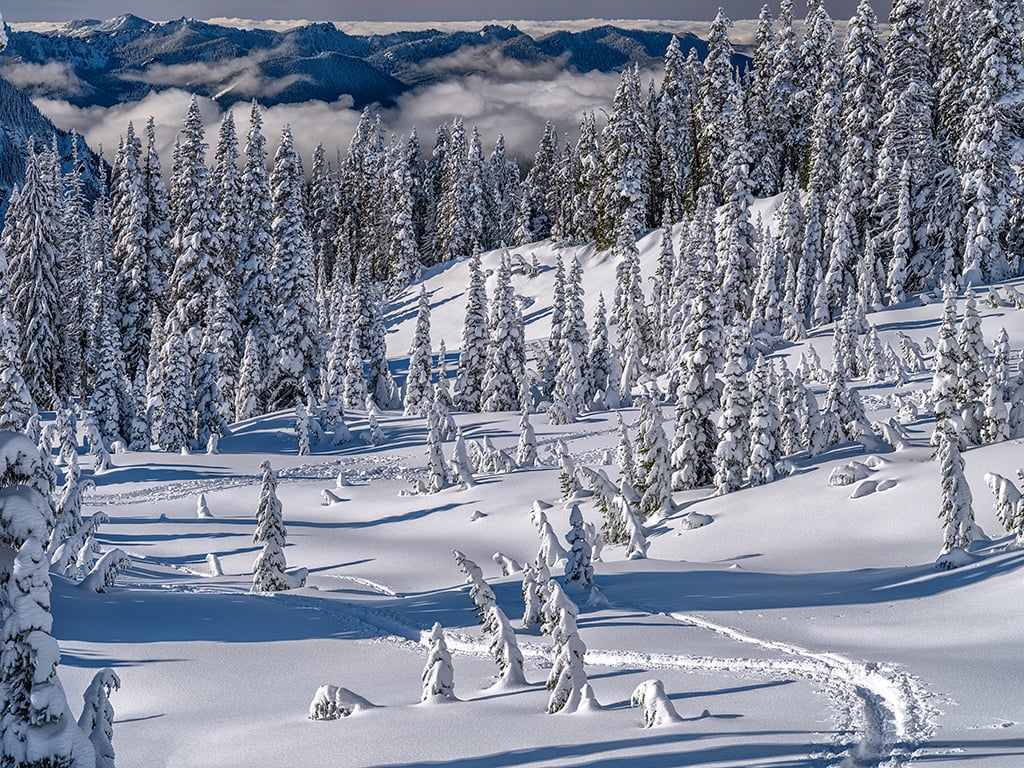 Winter landscape at Paradise, Mount Rainier National Park / Rebecca Latson Winter landscape at Paradise, Mount Rainier National Park / Rebecca Latson
