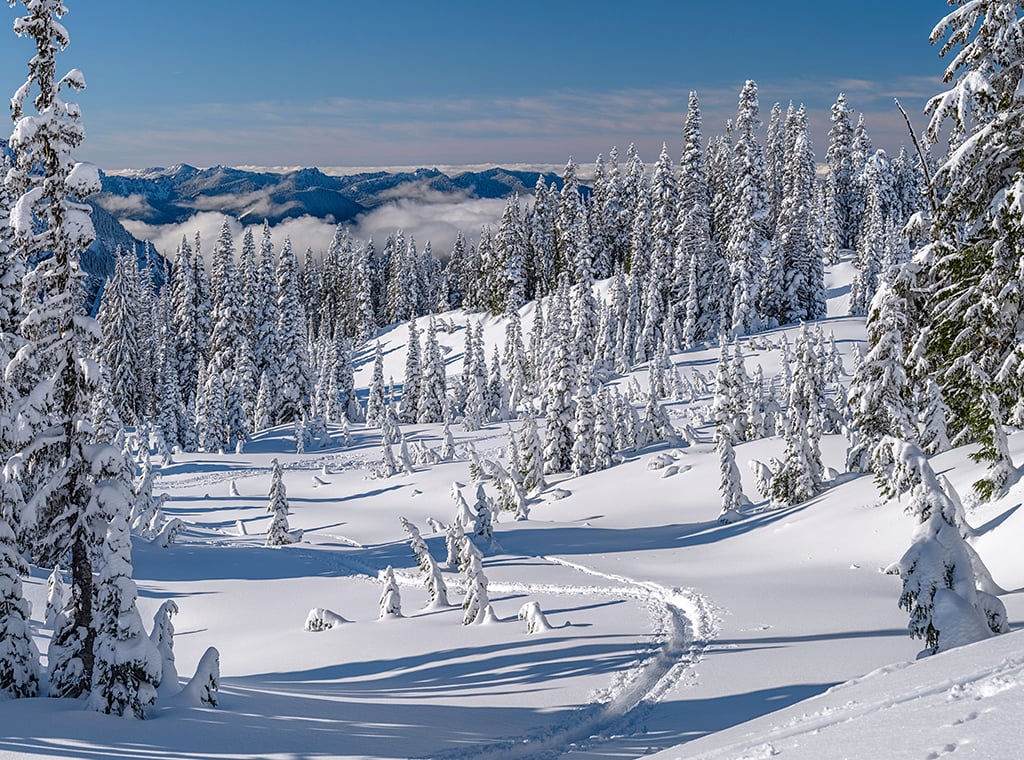 A winter wonderland at Mount Rainier National Park / Rebecca Latson A winter wonderland at Mount Rainier National Park / Rebecca Latson