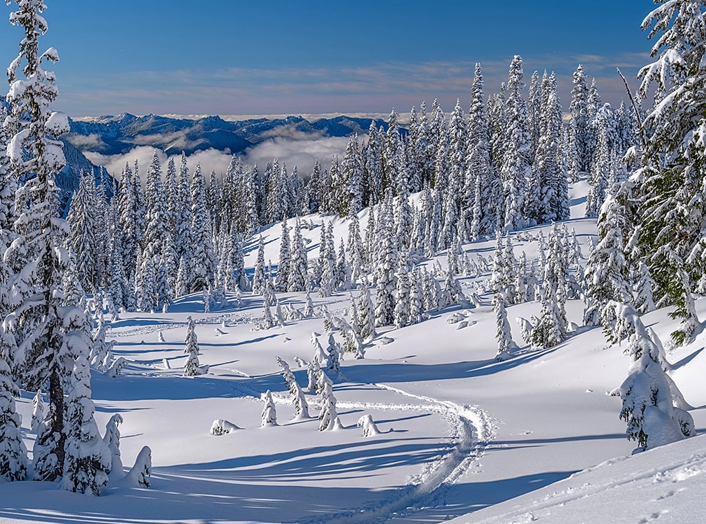 Winter scenery along the easier of the two trails to Alta Vista, Mount Rainier National Park / Rebecca Latson