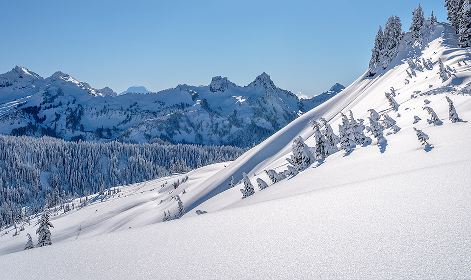 The bright winter blue and white of Alta Vista, Mount Rainier National Park / Rebecca Latson