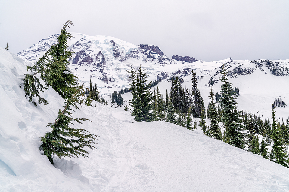 The colors of winter at Paradise, Mount Rainier National Park / Rebecca Latson
