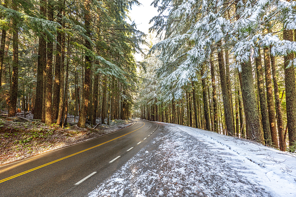 Winter along the park road, Mount Rainier National Park / Rebecca Latson Winter along the park road, Mount Rainier National Park / Rebecca Latson