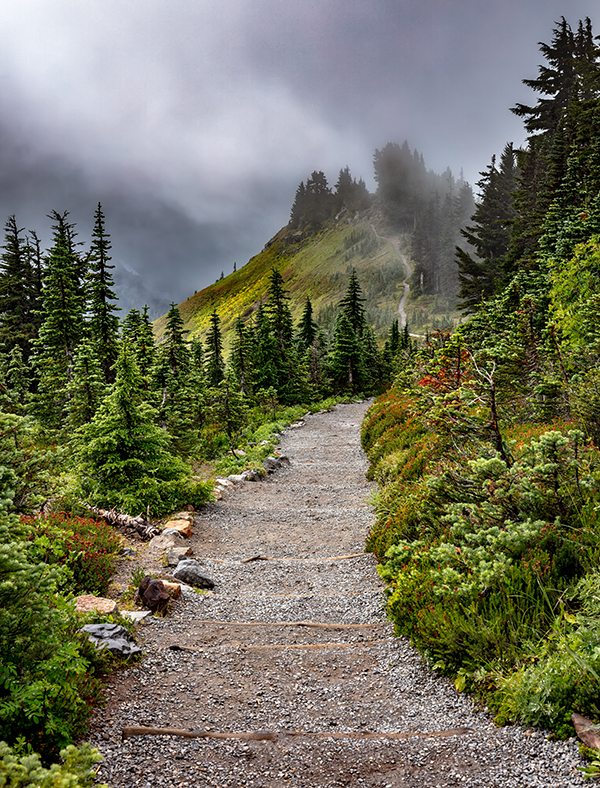 The downhill portion of the more difficult of the two trails to Alta Vista, Mount Rainier National Park / Rebecca Latson