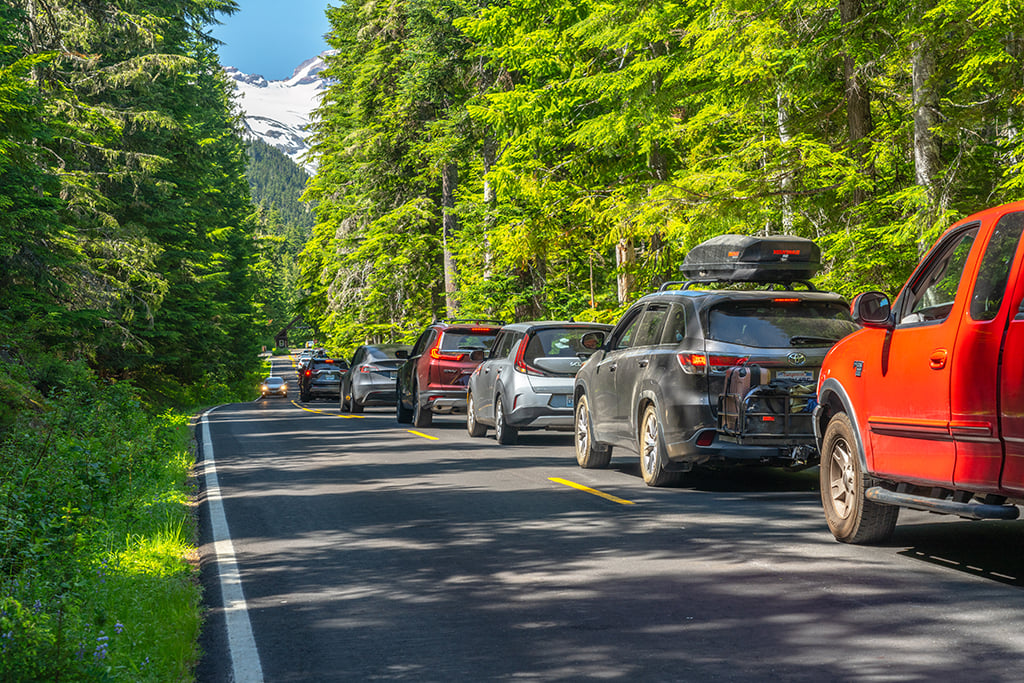 A long line of cars waiting to drive through the White River/Sunrise entrance, Mount Rainier National Park / Rebecca Latson