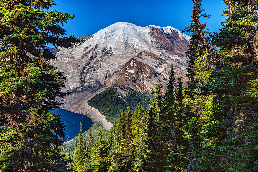 The Morning View From Emmons Vista, Mount Rainier National Park / Rebecca Latson