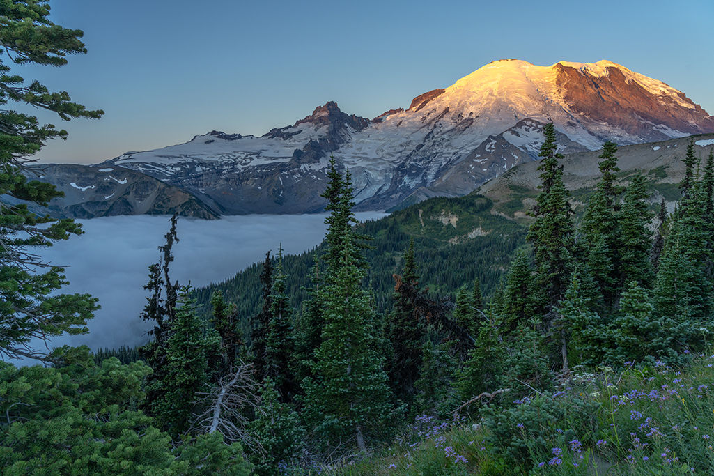 Sunrise at the Sunrise Area, Mount Rainier National Park / Rebecca Latson