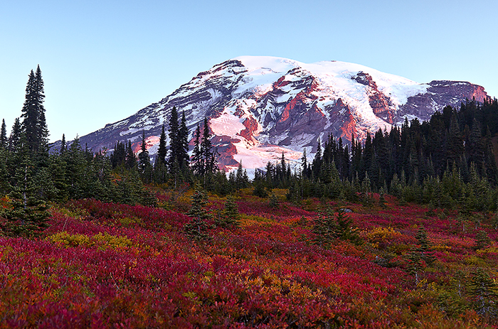 Sunrise in Mt. Rainier National Park / Rebecca Latson Sunrise in Mt. Rainier National Park / Rebecca Latson