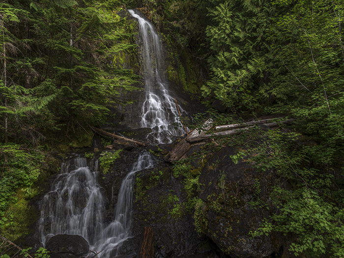Falls Creek waterfall, Mount Rainier National Park / Rebecca Latson Falls Creek waterfall, Mount Rainier National Park / Rebecca Latson