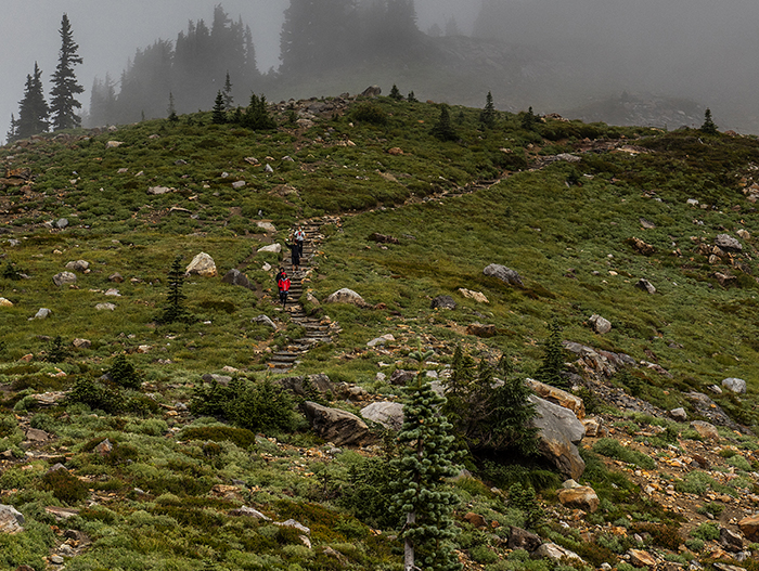 Hiking the Skyline Trail, Mt. Rainier National Park / Rebecca Latson