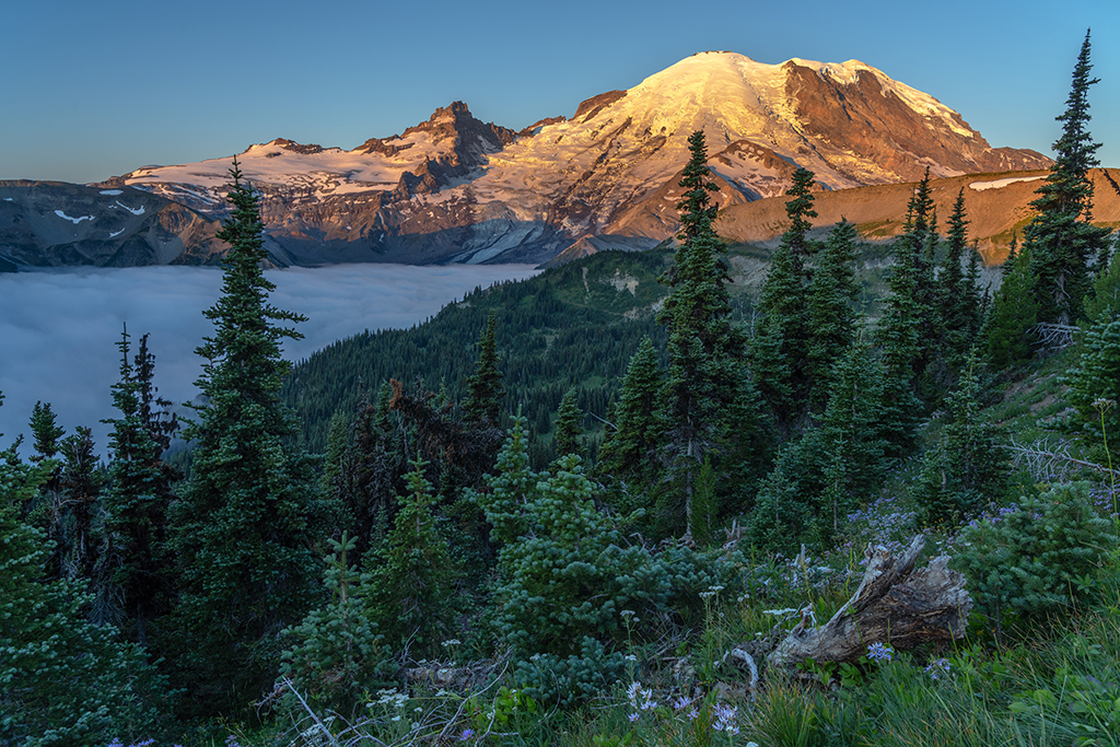 The timed-entry reservation test program at Mount Rainier National Park is almost at an end, and park staff want to know your thoughts / Rebecca Latson file photo The timed-entry reservation test program at Mount Rainier National Park is almost at an end, and park staff want to know your thoughts / Rebecca Latson file photo