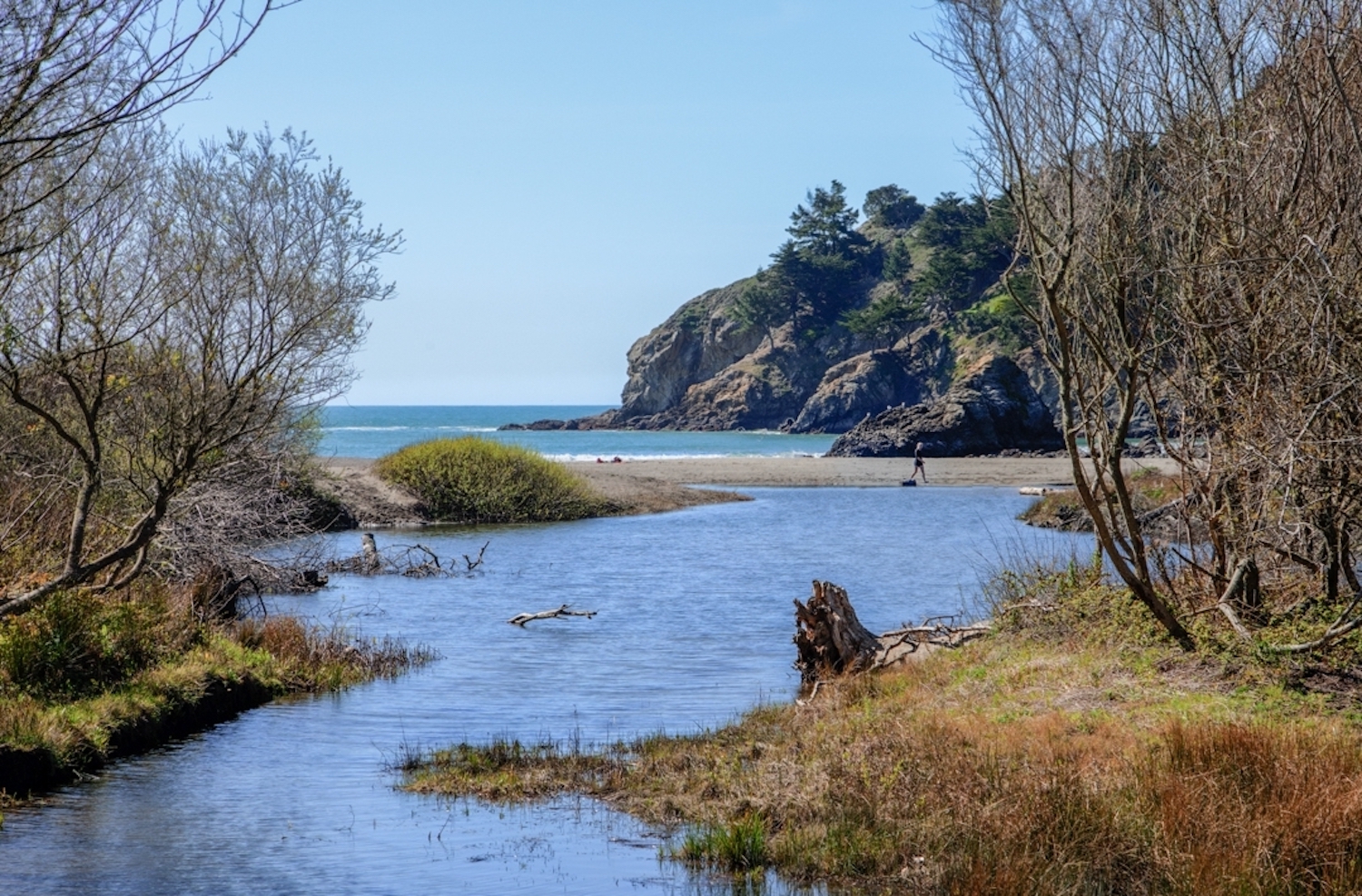 Restoration of Redwood Creek has helped improve the fishery. This view follows the creek down into a lagoon on Muir Beach/NPS Kirke Wrench Restoration of Redwood Creek has helped improve the fishery. This view follows the creek down into a lagoon on Muir Beach/NPS Kirke Wrench