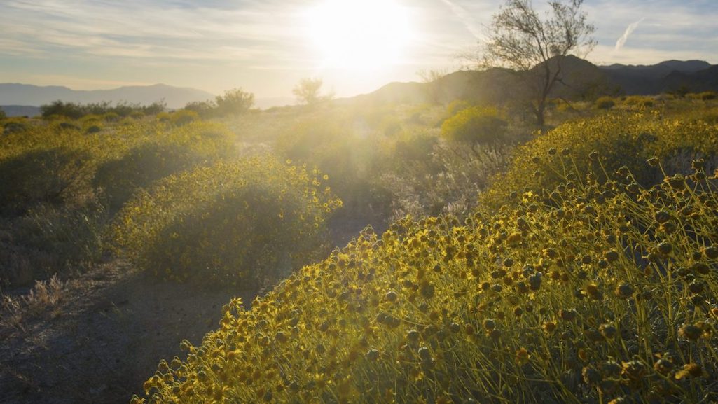 The National Park Trust has been able to add thousands of acres to the National Park System.
