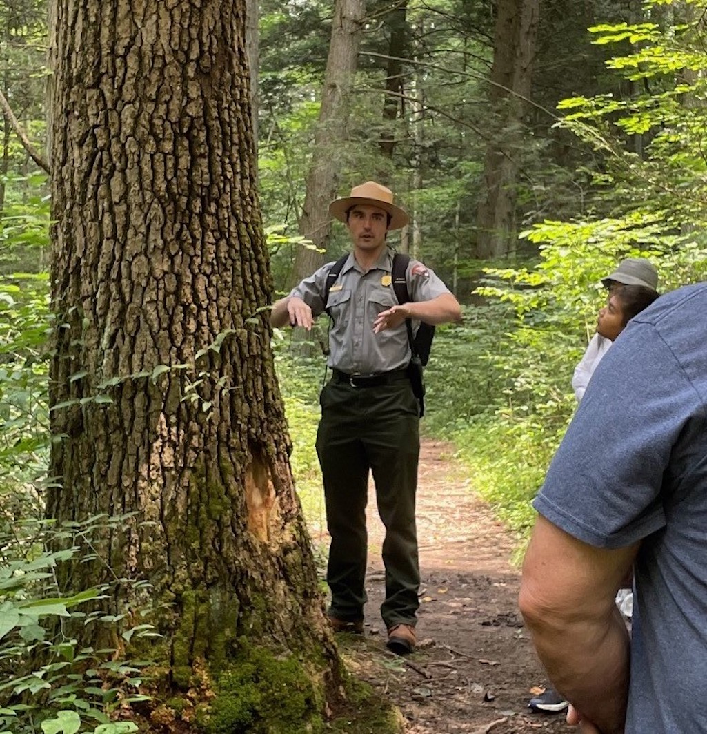 Park Ranger Chance Raso stands next to an old-growth black gum (Nyssa sylvatica) tree/NPS Park Ranger Chance Raso stands next to an old-growth black gum (Nyssa sylvatica) tree/NPS