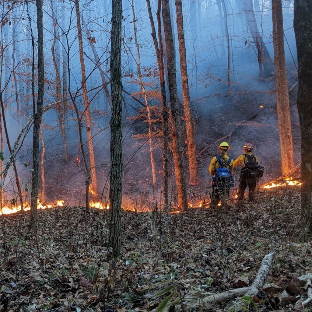 The Steep Valley Fire was burning in the backcountry of New River Gorge National Park and Preserve/NPS The Steep Valley Fire was burning in the backcountry of New River Gorge National Park and Preserve/NPS