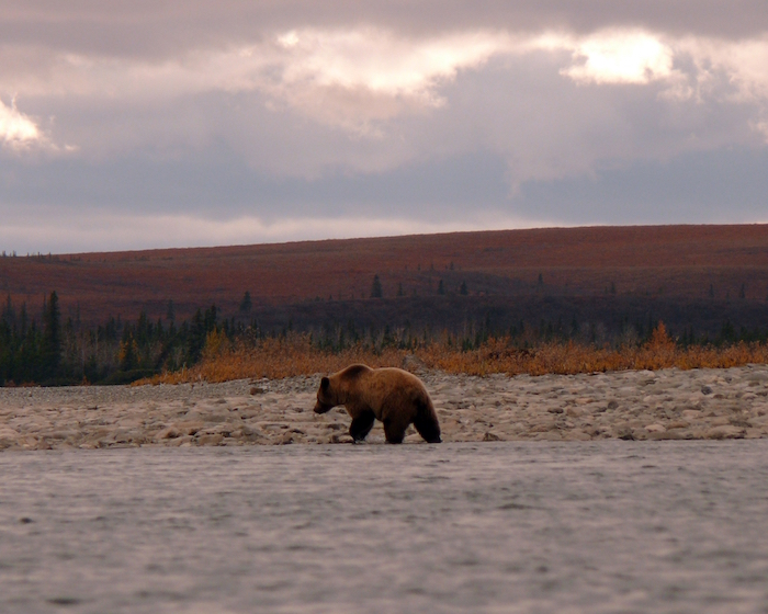 Noatak River, Gates of the Arctic National Park and Preserve/NPS
