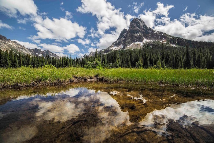 Liberty Bell in North Cascades National Park from Washington Pass Meadows/Andy Porter via WNPF
