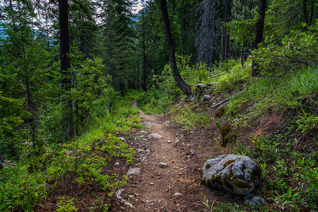 A part of the Pacific Crest Trail, North Cascades National Park / Rebecca Latson