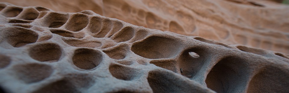 Honeycomb weathering by any other name ... Arches National Park / National Park Service Honeycomb weathering by any other name ... Arches National Park / National Park Service