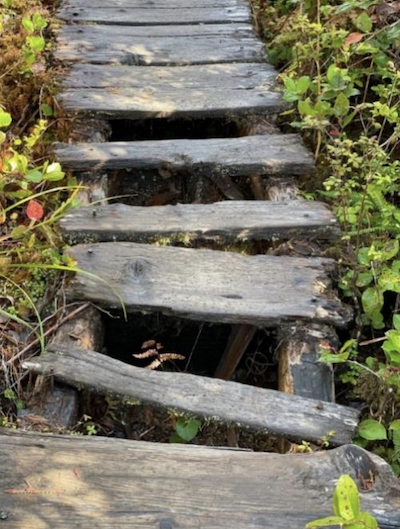A section of deteriorated boardwalk along the Sand Point Trail/NPS