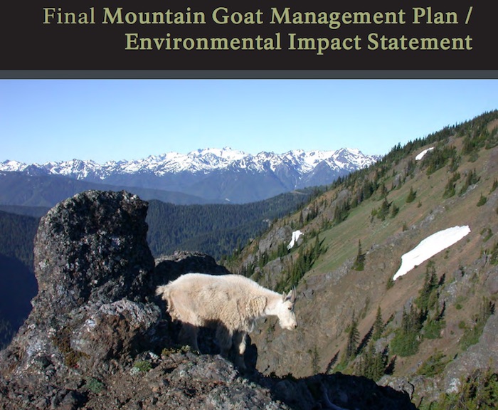 National Park Service staff want to remove non-native mountain goats from Olympic National Park National Park Service staff want to remove non-native mountain goats from Olympic National Park