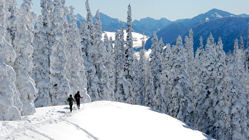 Hurricane Ridge at Olympic National Park will open for winter the day after Thanksgiving/NPS