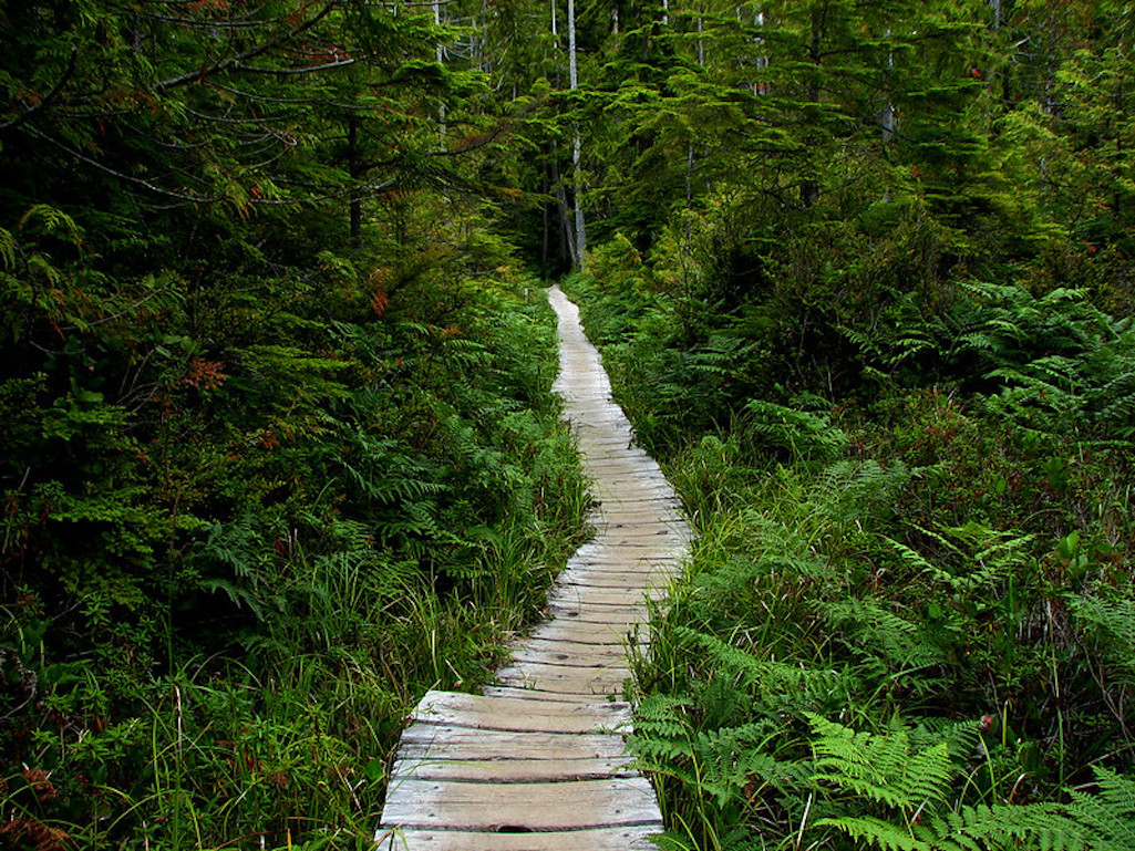 Olympic National Park staff is seeking public input on how best to address deteriorating sections of the Ozette trails/NPS file