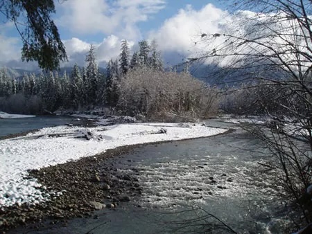 The Queets River is closing to steelhead fishing until next summer/NPS file