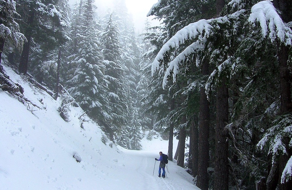 You can find Olympic National Park's most reliable snow atop Hurricane Ridge, though there are other corners of the park to explore on foot/NPS file You can find Olympic National Park's most reliable snow atop Hurricane Ridge, though there are other corners of the park to explore on foot/NPS file
