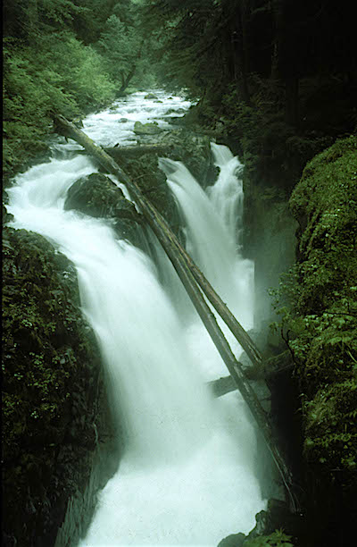 Sol Duc Falls, Olympic National Park/NPS Sol Duc Falls, Olympic National Park/NPS