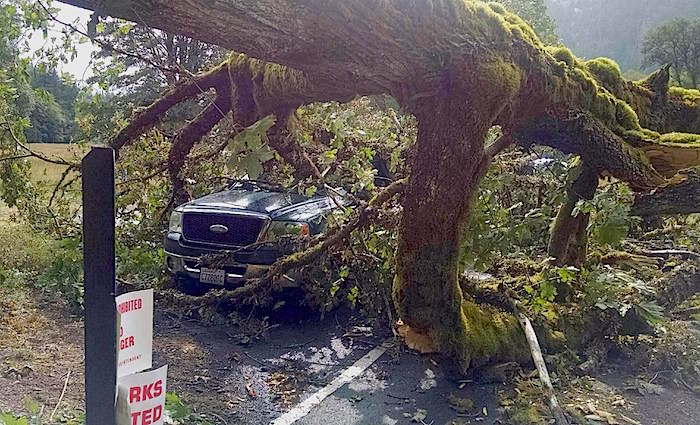 Storm damage at Olympic National Park/NPS Storm damage at Olympic National Park/NPS