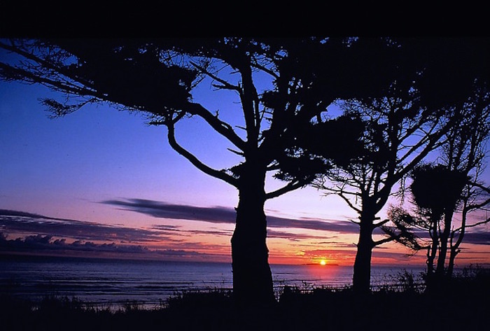 Sunset view from Kalaloch at Olympic National Park/NPS