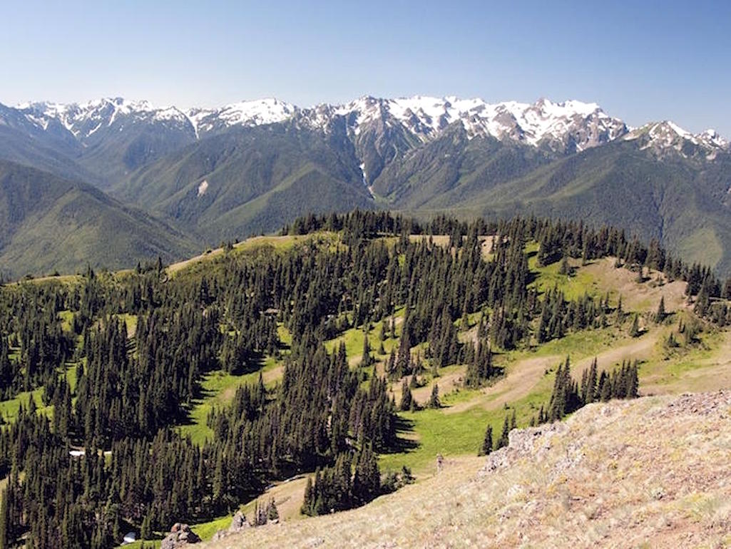 A ban on wood and charcoal fires took effect Friday for all of Olympic National Park/NPS file