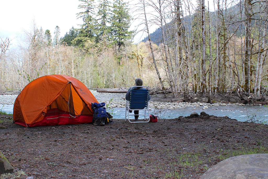 Due to infections weakening trees, several campgrounds are being closed at Olympic National Park / NPS photo Due to infections weakening trees, several campgrounds are being closed at Olympic National Park / NPS photo
