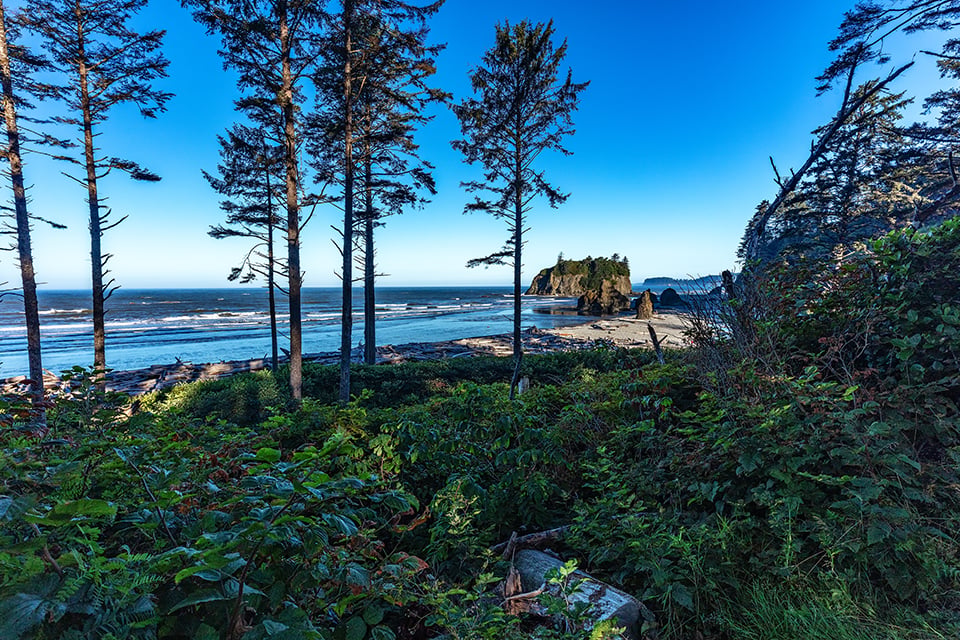 A summer morning trail view of Ruby Beach, Olympic National Park / Rebecca Latson
