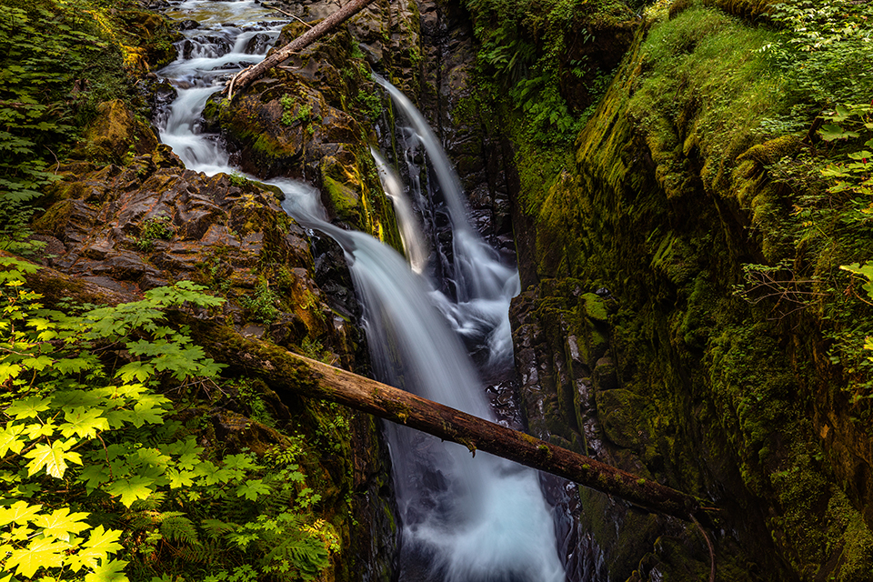 The silken froth of Sol Duc Falls, Olympic National Park / Rebecca Latson The silken froth of Sol Duc Falls, Olympic National Park / Rebecca Latson