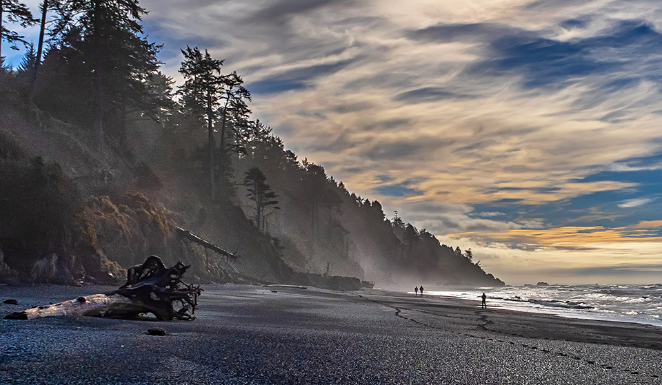 A winter afternoon walk along Beach 4, Olympic National Park / Rebecca Latson A winter afternoon walk along Beach 4, Olympic National Park / Rebecca Latson