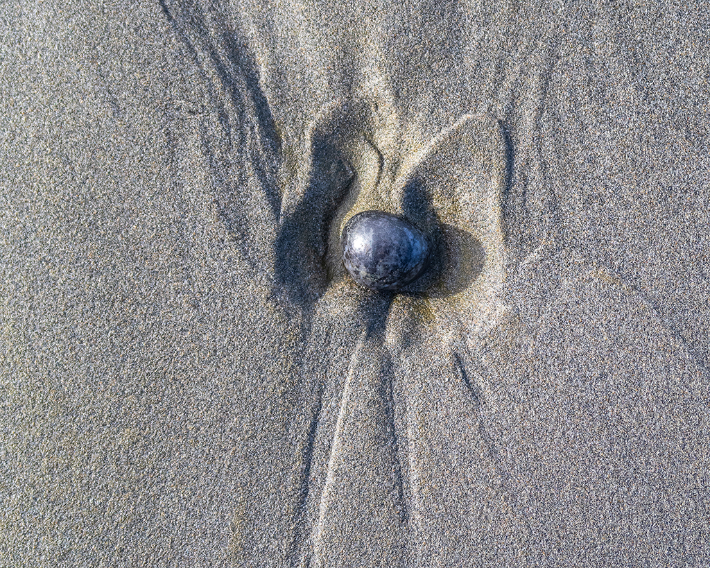 A beach "butterfly," Olympic National Park / Rebecca Latson A beach "butterfly," Olympic National Park / Rebecca Latson