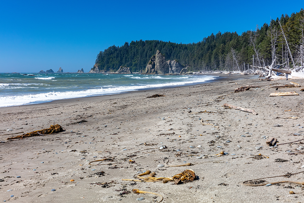 Rialto Beach in the summer, Olympic National Park / Rebecca Latson Rialto Beach in the summer, Olympic National Park / Rebecca Latson