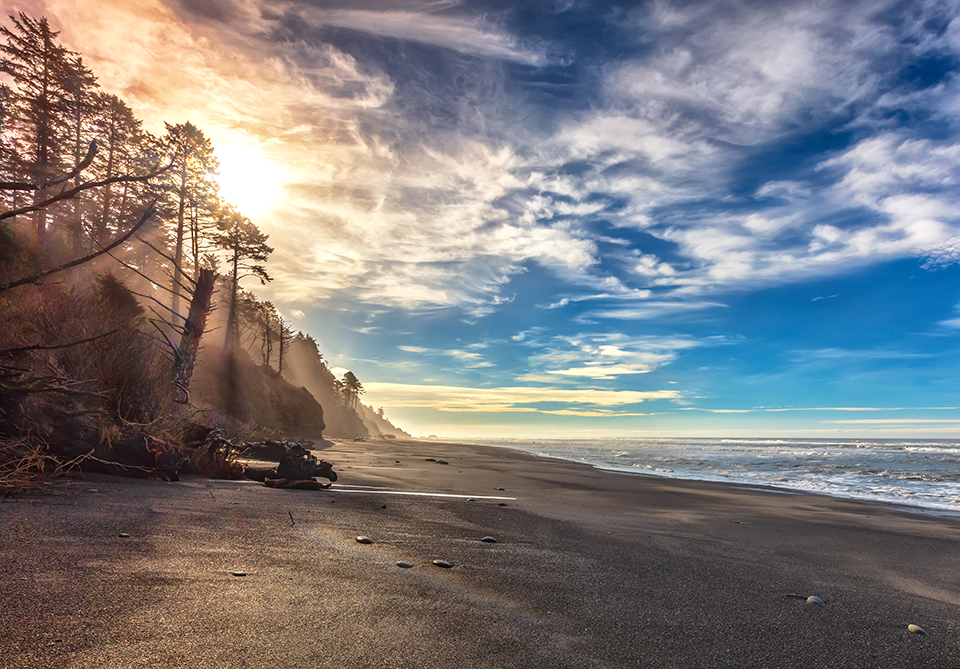 A winter mid-morning along the beach, Olympic National Park / Rebecca Latson A winter mid-morning along the beach, Olympic National Park / Rebecca Latson