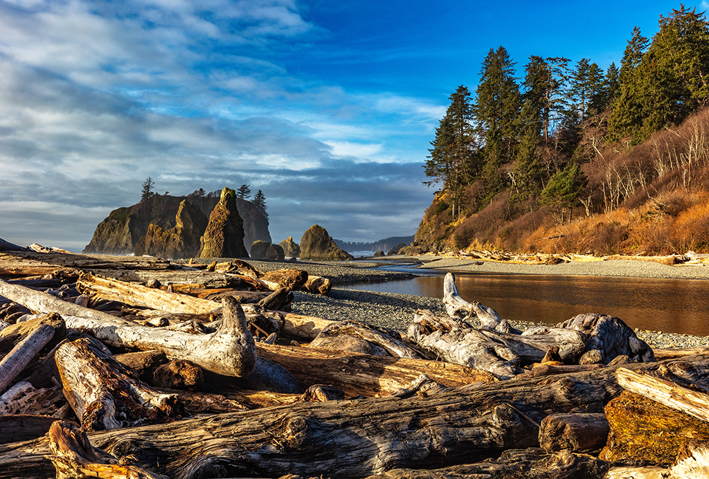A Ruby Beach logjam at the end of the trail, Olympic National Park / Rebecca Latson A Ruby Beach logjam at the end of the trail, Olympic National Park / Rebecca Latson