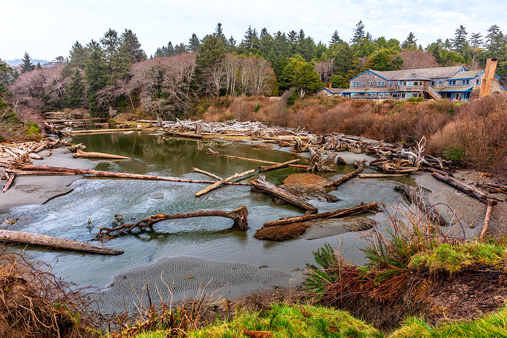 Kalaloch Lodge and Kalaloch Creek, Olympic National Park / Rebecca Latson Kalaloch Lodge and Kalaloch Creek, Olympic National Park / Rebecca Latson