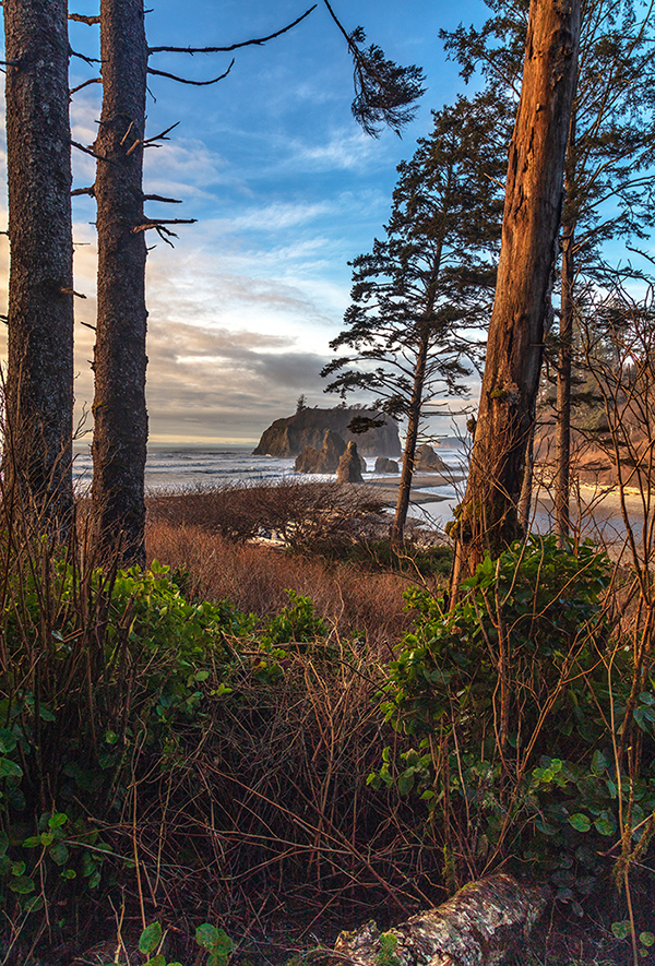 Looking down to Ruby Beach, Olympic National Park / Rebecca Latson Looking down to Ruby Beach, Olympic National Park / Rebecca Latson