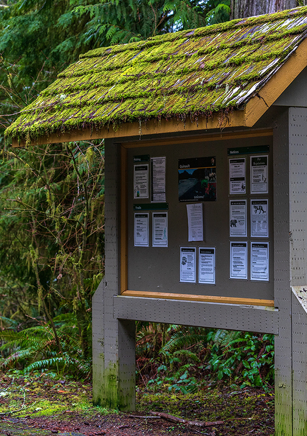 Moss-covered shingles, Quinault Rainforest, Olympic National Park / Rebecca Latson Moss-covered shingles, Quinault Rainforest, Olympic National Park / Rebecca Latson