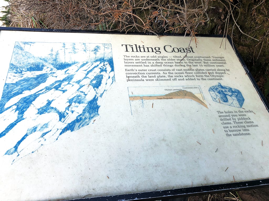 A tilting coast, Olympic National Park / Rebecca Latson A tilting coast, Olympic National Park / Rebecca Latson
